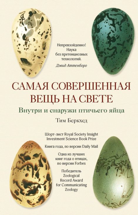 Книга «Самая совершенная вещь на свете. Внутри и снаружи птичьего яйца – Тим Беркхед»