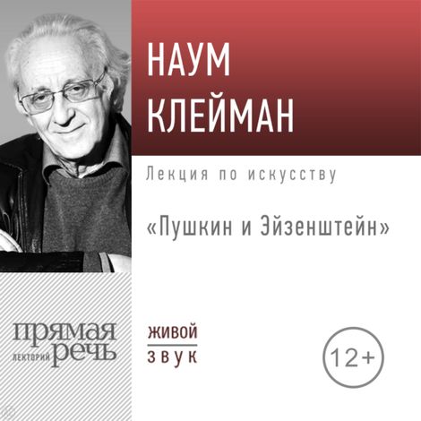 Аудиокнига «Пушкин и Эйзенштейн – Наум Клейман»