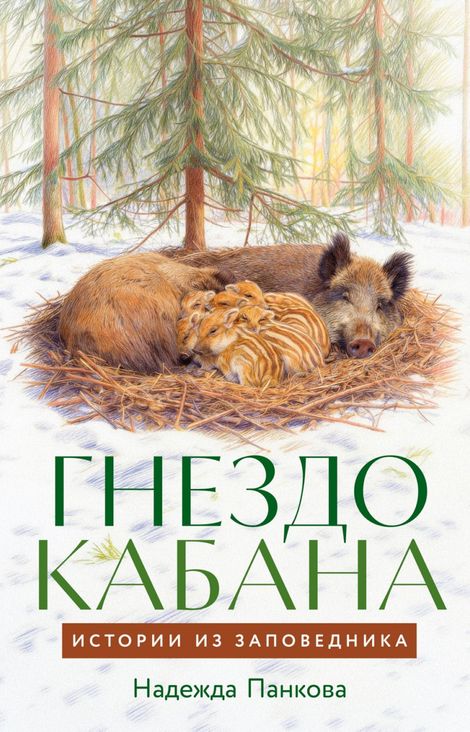 Книга «Гнездо кабана. Истории из заповедника – Надежда Панкова»