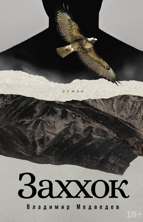 Книга «Заххок – Владимир Медведев»