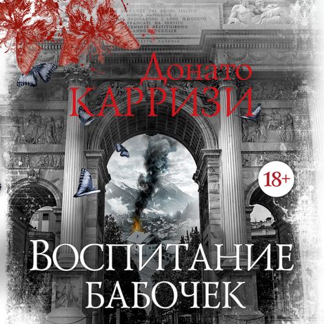 Аудиокнига «Воспитание бабочек – Донато Карризи»