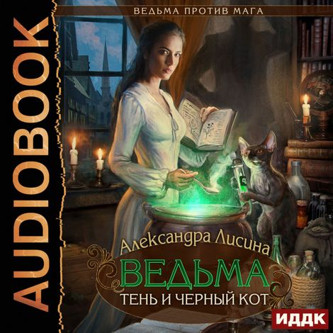 Аудиокнига «Ведьма против мага. Книга 1. Ведьма, тень и черный кот – Александра Лисина»