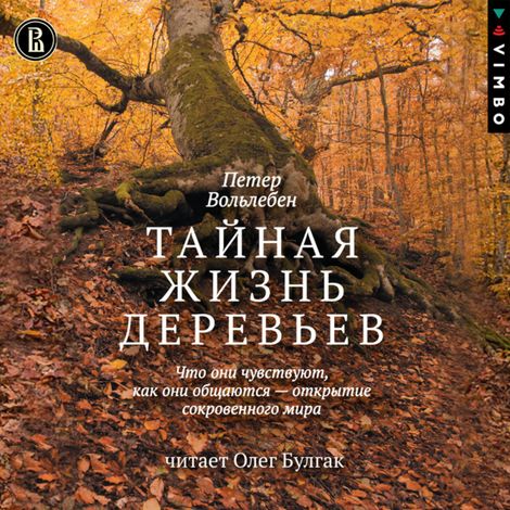Аудиокнига «Тайная жизнь деревьев – Петер Вольлебен»