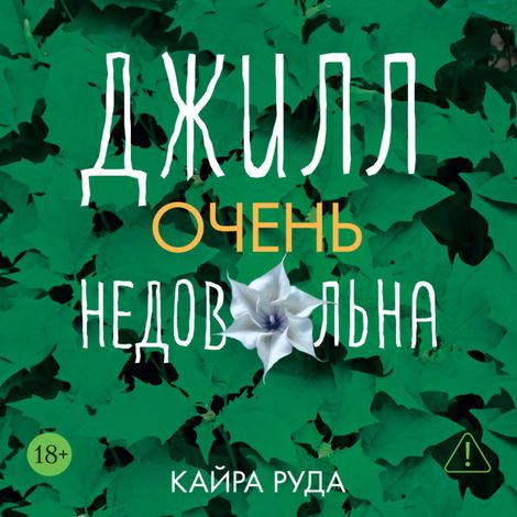 Аудиокнига «Джилл очень недовольна – Кайра Руда»