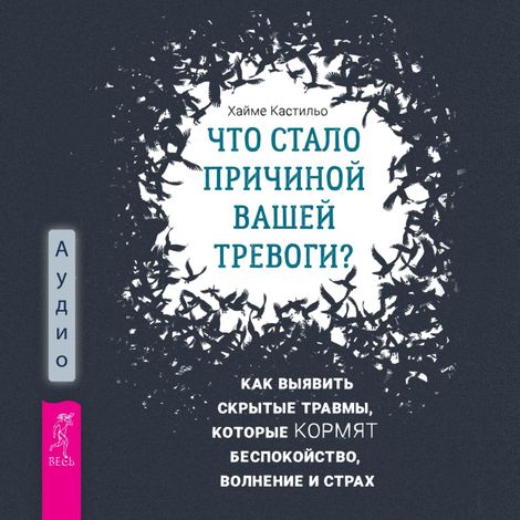 Аудиокнига «Что стало причиной вашей тревоги? – Хайме Кастильо»