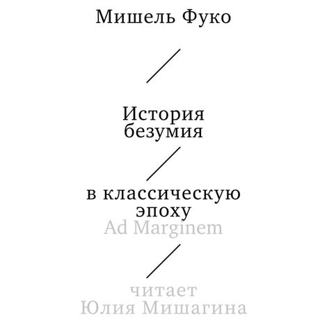 Аудиокнига «История безумия в классическую эпоху – Мишель Фуко»