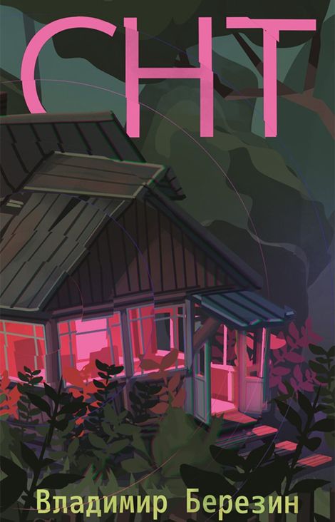 Книга «СНТ – Владимир Березин»