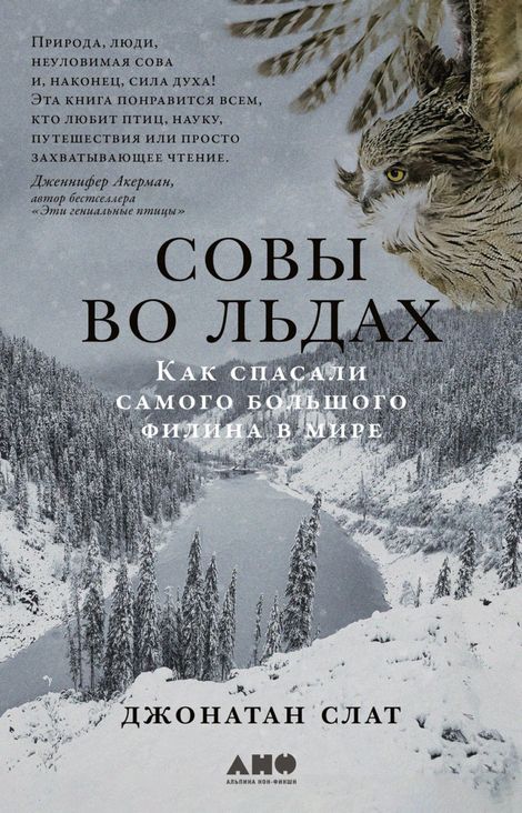 Книга «Совы во льдах. Как спасали самого большого филина в мире – Джонатан Слат»