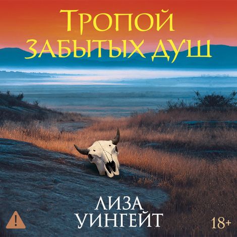 Аудиокнига «Тропой забытых душ – Лиза Уингейт»