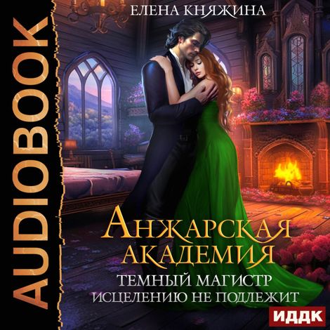 Аудиокнига «Анжарская академия. Темный магистр исцелению не подлежит – Елена Княжина»