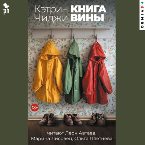 Аудиокнига «Книга вины – Кэтрин Чиджи»