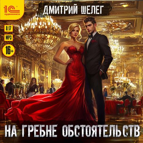 Аудиокнига «На гребне обстоятельств – Дмитрий Шелег»