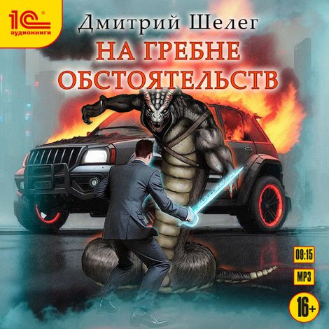 Аудиокнига «На гребне обстоятельств – Дмитрий Шелег»