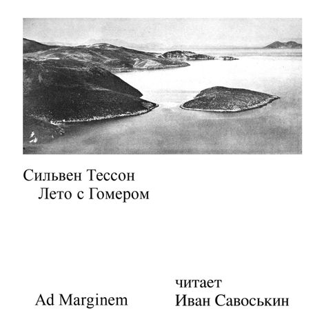 Аудиокнига «Лето с Гомером – Сильвен Тессон»