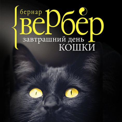 Аудиокнига «Завтрашний день кошки – Бернар Вербер»
