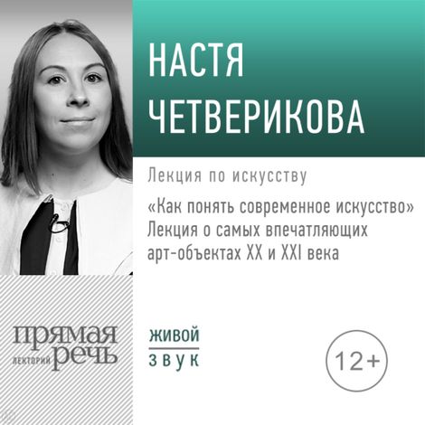 Аудиокнига «Как понять современное искусство – Анастасия Четверикова»