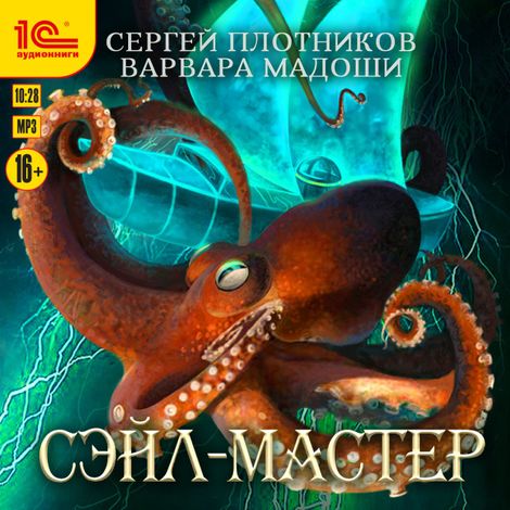 Аудиокнига «Сэйл-мастер – Сергей Плотников»