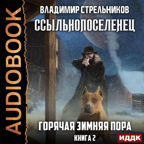 Аудиокнига «Ссыльнопоселенец. Горячая зимняя пора – Владимир Стрельников»