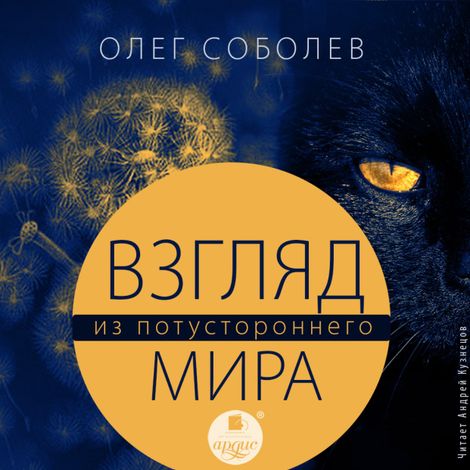 Аудиокнига «Взгляд из потустороннего мира – Олег Соболев»