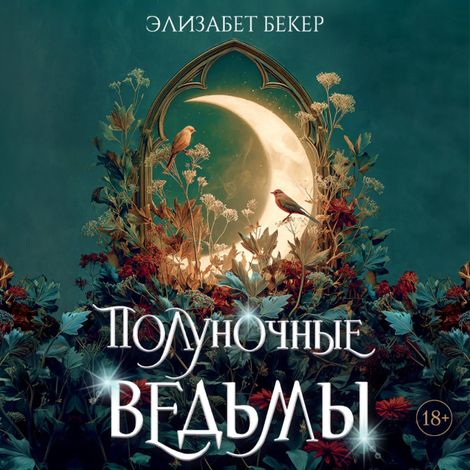 Аудиокнига «Полуночные ведьмы – Элизабет Бекер»
