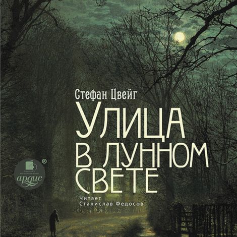Аудиокнига «Улица в лунном свете – Стефан Цвейг»