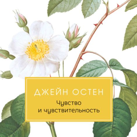 Аудиокнига «Чувство и чувствительность – Джейн Остин»