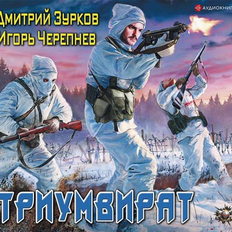 Аудиокнига «Триумвират – Дмитрий Зурков, Игорь Черепнев»