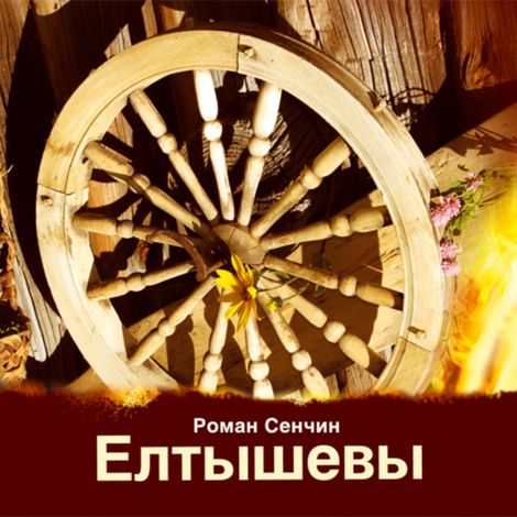 Аудиокнига «Елтышевы – Роман Сенчин»