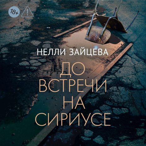 Аудиокнига «До встречи на Сириусе – Нелли Зайцева»