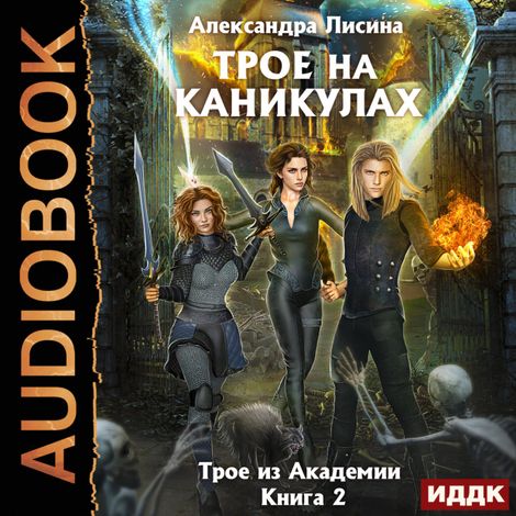 Аудиокнига «Трое из Академии. Книга 2. Трое на каникулах – Александра Лисина»