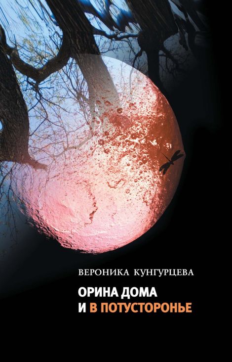 Книга «Орина дома и в Потусторонье – Вероника Кунгурцева»