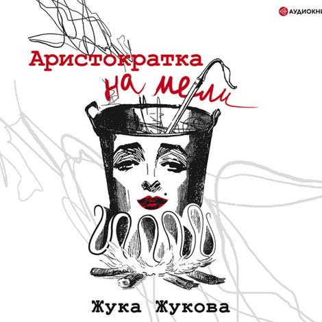 Аудиокнига «Аристократка на мели – Жука Жукова»