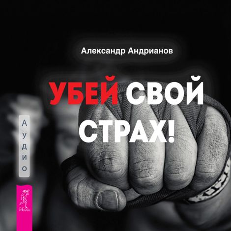 Аудиокнига «Убей свой страх – Александр Андрианов»