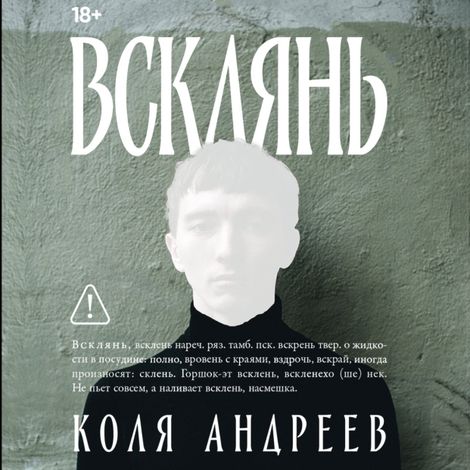 Аудиокнига «Всклянь – Коля Андреев»