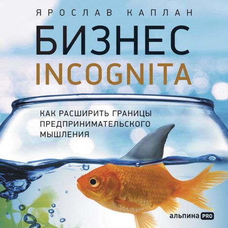Аудиокнига «Бизнес incognita. Как расширить границы предпринимательского мышления – Ярослав Каплан»