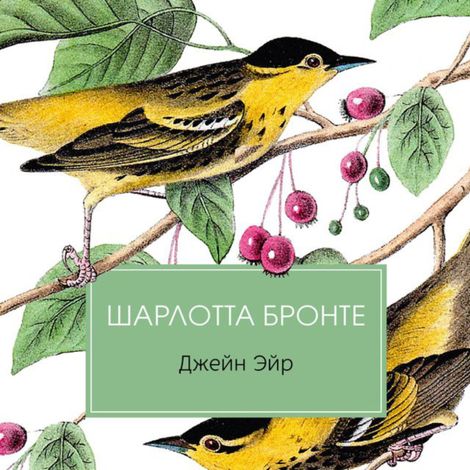 Аудиокнига «Джейн Эйр – Шарлотта Бронте»