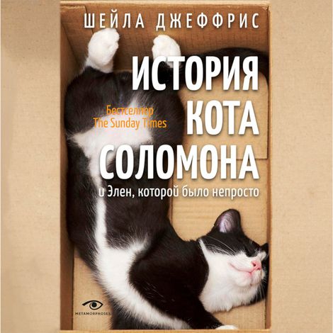 Аудиокнига «История кота Соломона – Шейла Джеффрис»