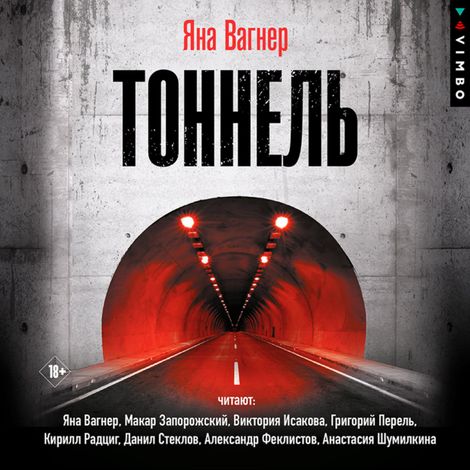 Аудиокнига «Тоннель – Яна Вагнер»