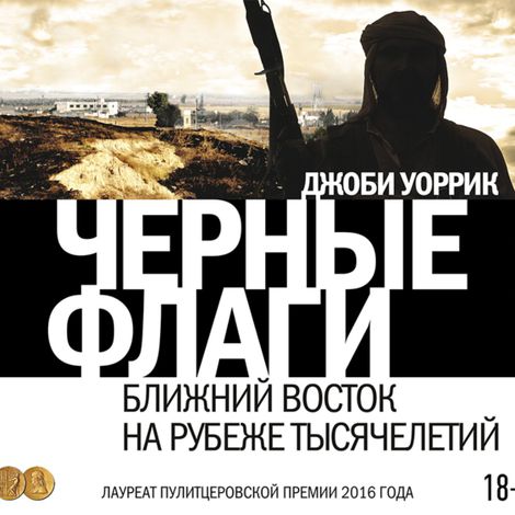 Аудиокнига «Черные флаги – Джоби Уоррик»