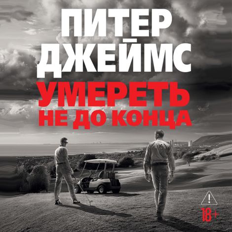 Аудиокнига «Умереть не до конца – Питер Джеймс»