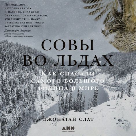 Аудиокнига «Совы во льдах. Как спасали самого большого филина в мире – Джонатан Слат»